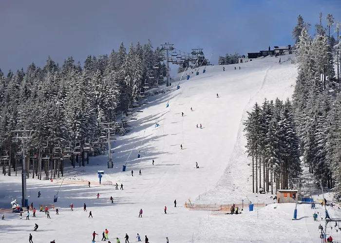 Sonnenweg 40 Mit Sauna Und Garten *